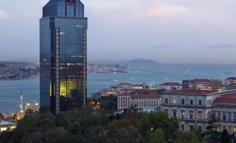 The Ritz-Carlton, Istanbul