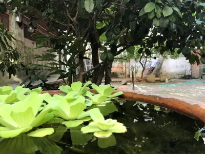 Neighbor 6 Youth Hostel Hotel a 