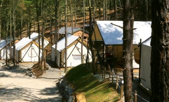 Blacktree camping pension