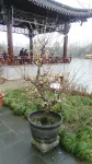Lakeside Hostel (Yangzhou Boutique)