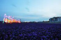 كانتري جاردن فينيكس هوتل تونجلياو فنادق في تونغ لياو