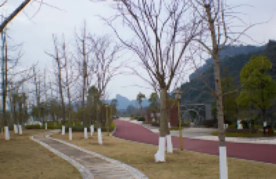 武夷山馬伕鄉村旅館