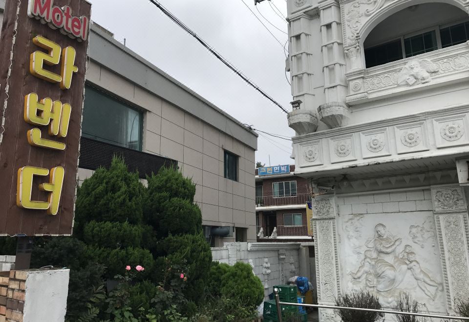 3. 강릉 정동진 라..