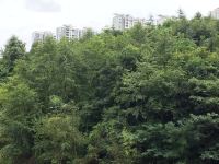 贵阳索尔特公寓 - 酒店附近