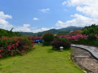 清流山城山庄 - 公共区域