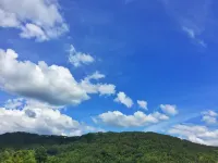 Hongcun Moxiang Huipai Landscape Art Boutique Homestay (Hongcun Scenic Area) - 2-Star