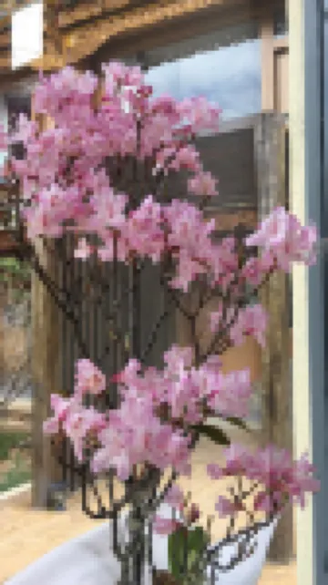 อาร์ตโฮเตล โยวโยว โรงแรมใกล้วัดซงจ้านหลิน