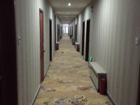 承德鸿雁宾馆 - 公共区域