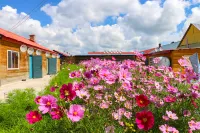 Shanlihong Farmhouse Hotels near Arxan National Forest Park - Azalea Slope