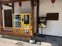 巢湖凤栖河畔度假酒店 - 其他