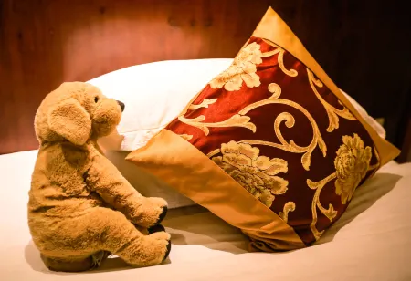 Ruyuan Culture Theme Inn Отели рядом с достопримечательностью «Junzhang Mountain»