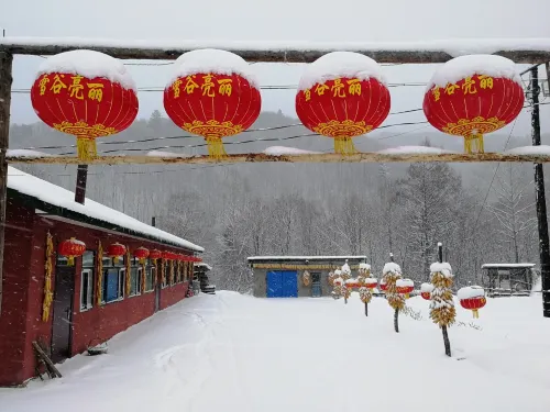 Harbin Snow Gu Liang Li Family Hotel - Mountain view
