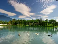 Villa Home 18 Hotels near Skcf