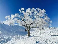 Junbaolai Inn (Xuegu Scenic Area Branch) Hotels in der Nähe von Yangcao Mountain