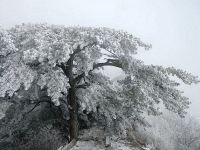 霍山大别山庄度假村 - 三人标准间