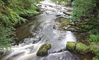 a picturesque river flowing through a lush green forest , with rocks and trees surrounding it at Blackwell House