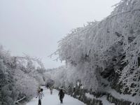 衡阳南岳半山亭巴巴岭休闲山庄 - 其他