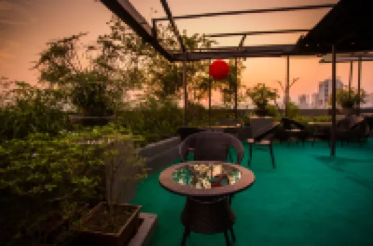 Hotel Tropical Daisy