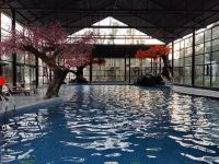 铜鼓汤里酒店 - 室内游泳池