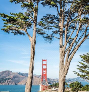 캐노피 바이 힐튼의 트렌디한 바 공간