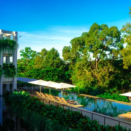 Treeline Urban Resort