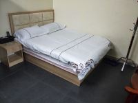 潮州凯悦公寓 - 标准大床房