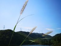 湖州晴月阁民宿 - 酒店附近