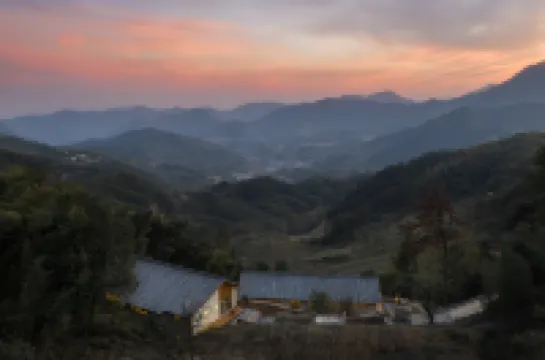 大樂之野（桐廬店）