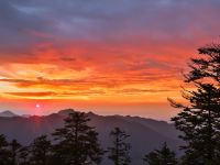 大邑首峰别苑 - 其他