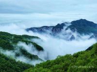 云台山茱萸峰避暑山庄 - 酒店景观