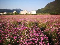 仙居小山村暖宿 - 酒店景观