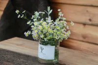 Yitian Home Stay Hotel berhampiran Tianxia Yinkeng Scenic Area