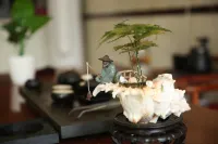 37°2 Hotel Hotels near Mazu Gedianji