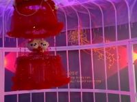 青海湖他她情侣酒店 - 爱情囚笼主题房