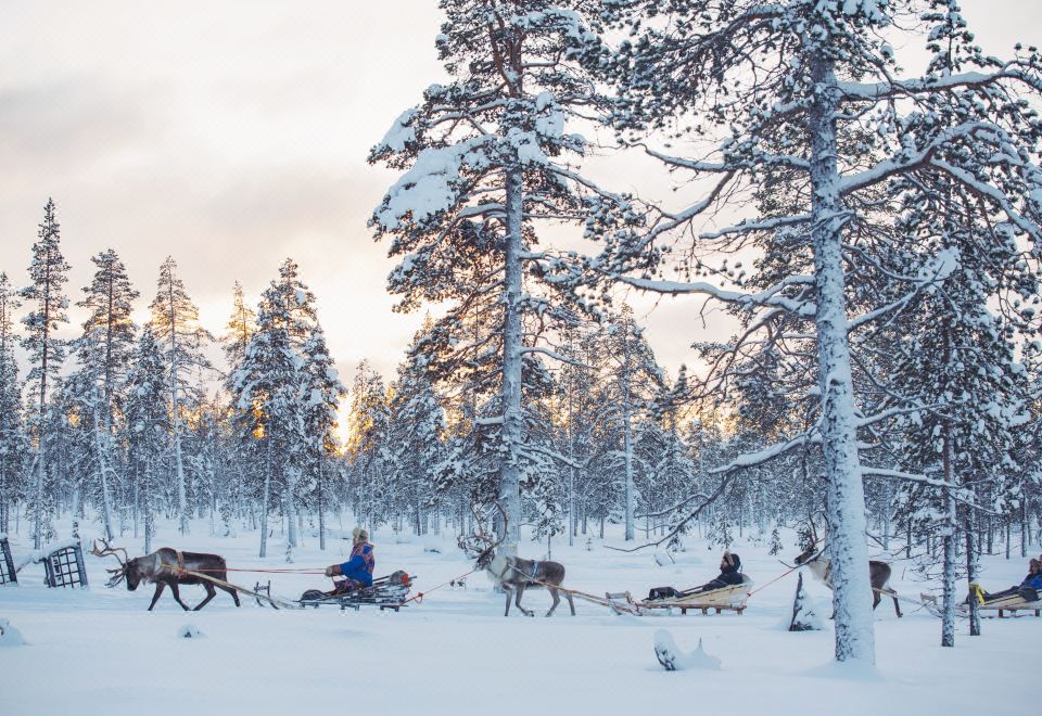 카크슬라우타넨 아틱 리조트