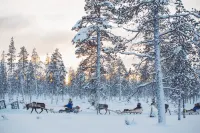 Kakslauttanen Arctic Resort - Igloos and Chalets