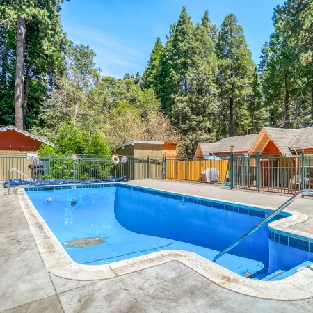 Arrowhead Tree Top Lodge