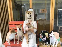 廈門我們三·山河與海親子度假民宿