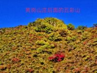 克什克腾旗黄岗山庄 - 其他