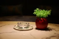 Guangzhou Miyou Hotel