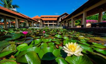 a large body of water with a lily pad - covered pond in the center , surrounded by lush greenery at Pandanus Resort