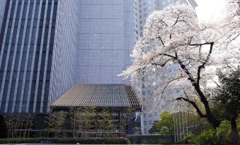 The Capitol Hotel Tokyu