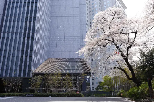 더 캐피톨 호텔 도큐