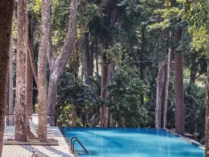 Alberghi di Lusso a South Andaman: le opzioni più popolari