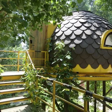 SERENUS ARK