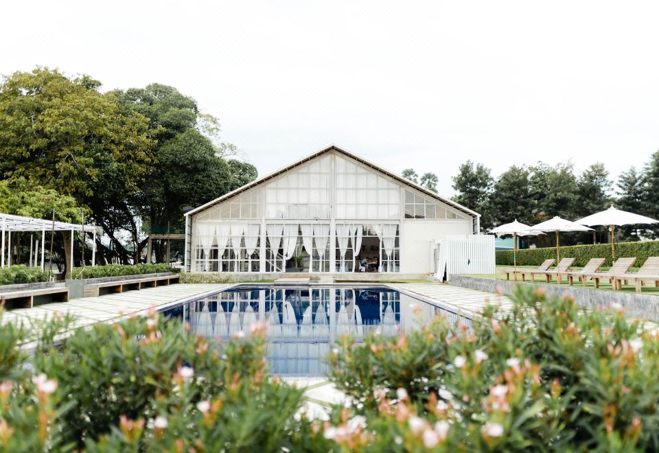 더 자이트 리버 콰이