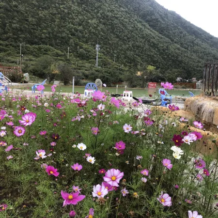 Kangding Zhongguhong Hot Springs Camp Accommodation