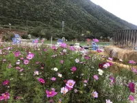 Kangding Zhongguhong Hot Springs Camp Accommodation - Swimmingpools