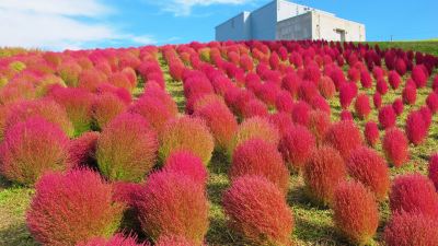ホテル周辺 越後湯沢温泉 露天大岩風呂の宿 湯沢東映ホテルの写真