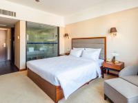 珠海金棕榈酒店 - 豪华大床房